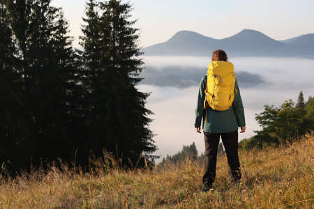 Tourist with backpack in mountains on sunny day, back view. Space for text