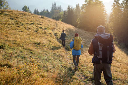 Tourists with backpacks hiking in mountains on sunny day, back viewの写真素材