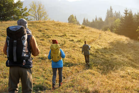 Tourists with backpacks hiking in mountains on sunny day, back viewの写真素材