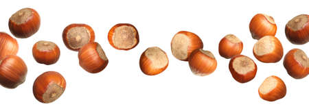 Tasty hazelnuts falling on white background, banner design. Healthy snack