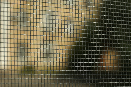 Closeup of mosquito window screen, view from insideの写真素材