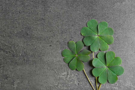 Green four leaf clover on gray table, flat lay. Space for text