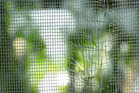Torn window screen against blurred background, closeupの写真素材