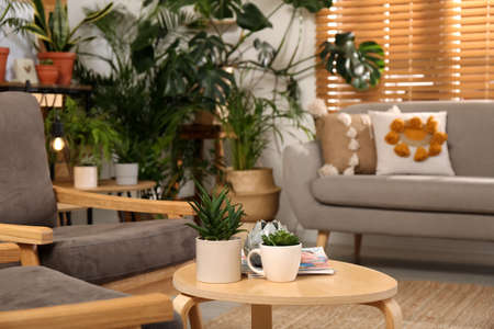 Stylish room with beautiful plants, focus on table. Interior designの写真素材