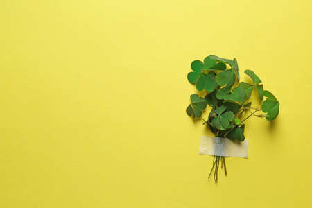 Bunch of green clover with tape on yellow background. Space for textの写真素材