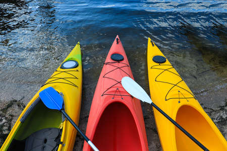 Modern kayaks with paddles on beach near river, above view. Summer camp activityの写真素材