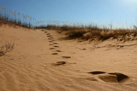 Trail of footprints on sand in desertの写真素材
