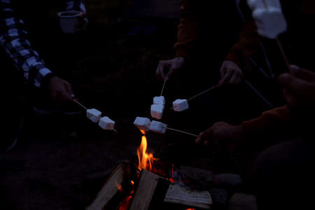 People roasting marshmallows on bonfire outdoors at night, above viewの写真素材