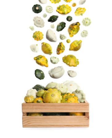Fresh ripe pattypan squashes falling into wooden crate on white backgroundの写真素材