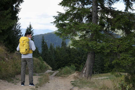 Tourist with backpack on path in forest, back viewの写真素材