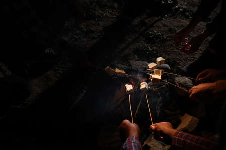 Group of friends roasting marshmallows on bonfire at camping site in evening, closeupの写真素材
