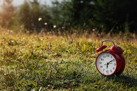 Red alarm clock on grass outdoors in morning, space for textの写真素材