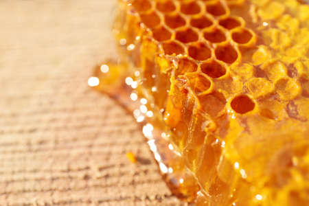 Piece of fresh honeycomb on wood stump, closeupの写真素材