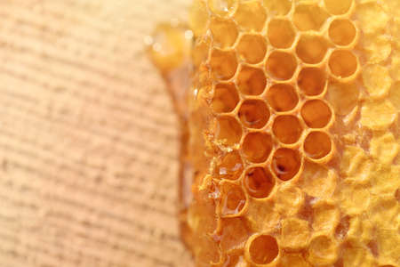 Piece of fresh honeycomb on wood stump, top view. Space for textの写真素材