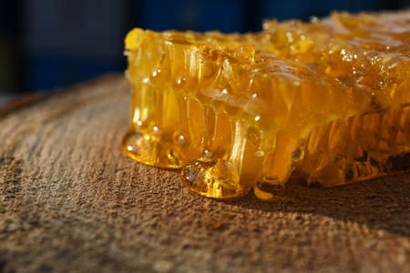 Piece of fresh honeycomb on wood stump, closeupの写真素材