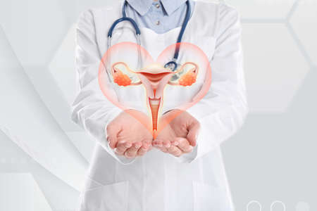 Doctor demonstrating virtual icon with illustration of female reproductive system on light background, closeup. Gynecological careの写真素材
