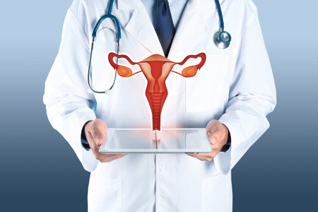 Doctor demonstrating virtual icon with illustration of female reproductive system on color background, closeup. Gynecological careの写真素材