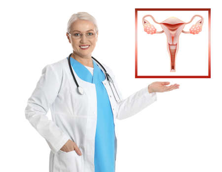 Mature doctor demonstrating illustration of female reproductive system on white background. Gynecological careの写真素材