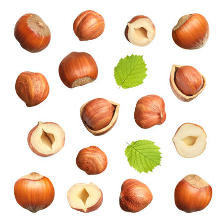 Set with tasty hazelnuts on white backgroundの写真素材