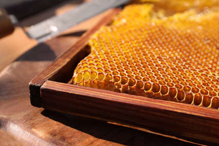 Uncapped honeycomb frame on wooden table, closeupの写真素材