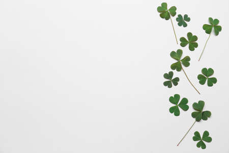 Beautiful clover on white background, top viewの写真素材