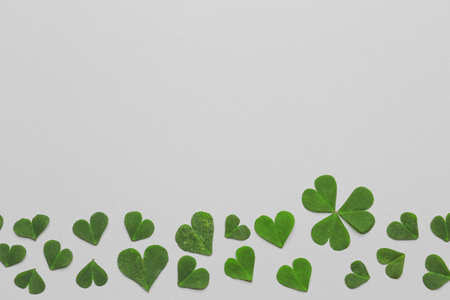 Composition with clover on white background, top viewの写真素材