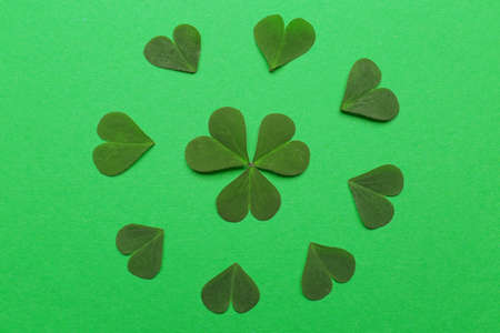 Composition with clover on green background, flat layの写真素材