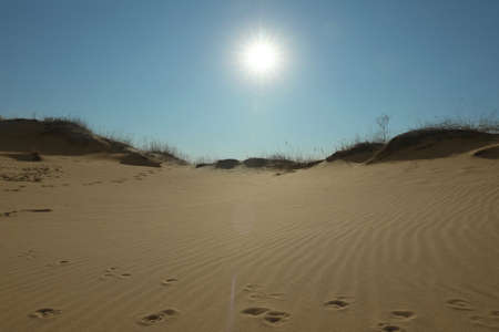 Picturesque view of desert on sunny dayの写真素材