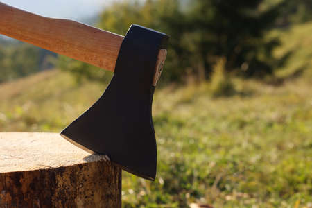 Tree stump with ax outdoors, closeup. Space for text
