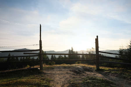Wooden fence with barbed wire in morningの写真素材