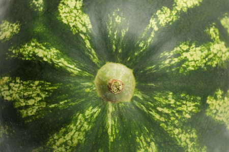Delicious ripe watermelon as background, closeup viewの写真素材