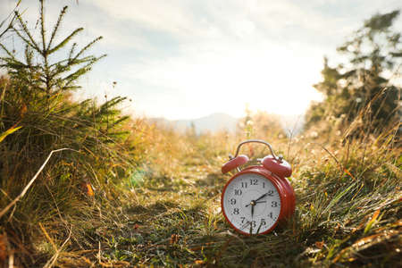 Red alarm clock on grass outdoors in morning, space for text
