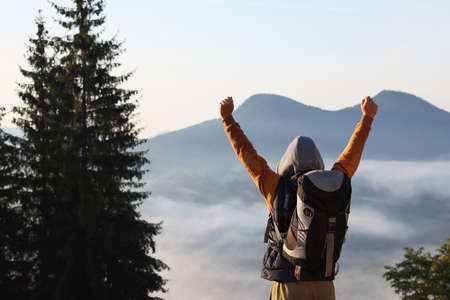 Tourist with backpack in mountains on sunny day, back view. Space for text