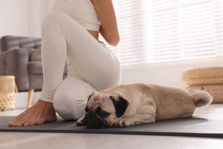 Woman with dog practicing yoga at home, closeupの写真素材