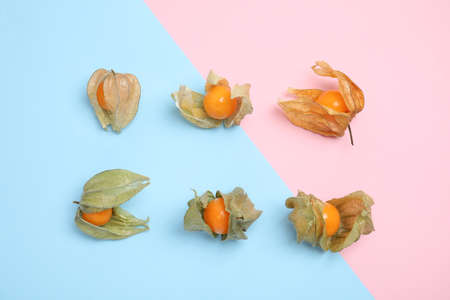 Ripe physalis fruits with dry husk on color background, flat layの写真素材