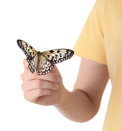 Woman holding beautiful rice paper butterfly on white background, closeupの写真素材