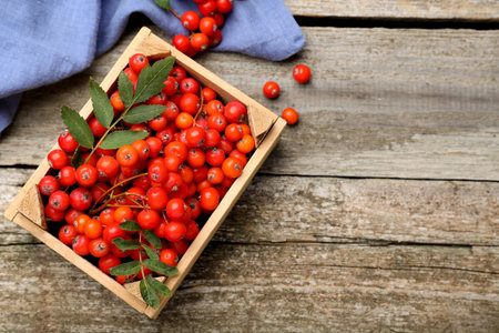 Fresh ripe rowan berries with green leaves on wooden table, flat lay. Space for textの写真素材