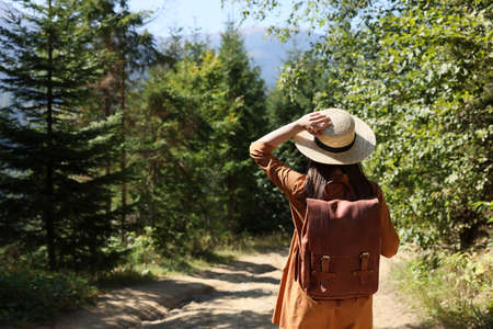 Woman with backpack and hat walking in forest, back view