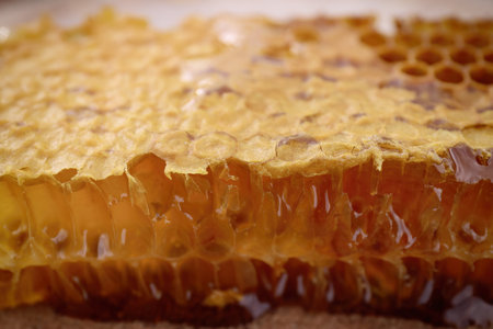 Uncapped filled honeycomb as background, closeup view