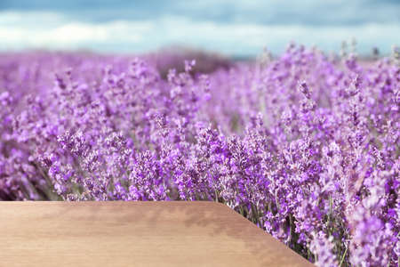 Empty wooden surface in field with beautiful blooming lavender on sunny dayの写真素材