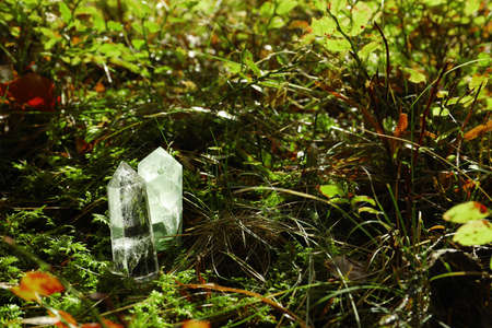 Sunlit crystals on ground in forest, space for textの写真素材