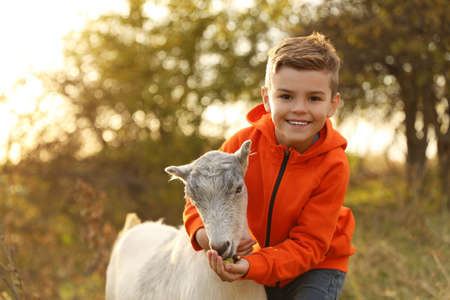 Farm animal. Cute little boy feeding goat on pastureの写真素材