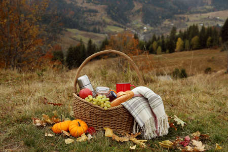 Wicker picnic basket , snacks and plaid in nature on autumn dayの写真素材