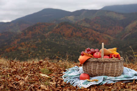 Wicker picnic basket with fruits and plaid on autumn leaves in mountains, space for textの写真素材