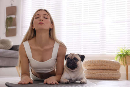 Beautiful woman with dog practicing yoga at homeの写真素材