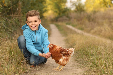 Farm animal. Cute little boy feeding chicken in countryside, space for textの写真素材