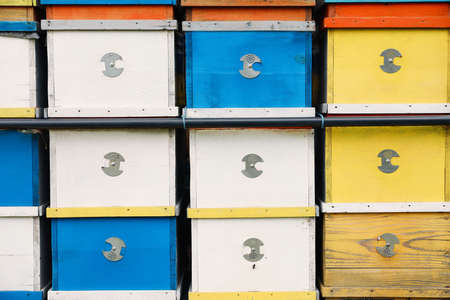 Many colorful bee hives at apiary, closeupの写真素材