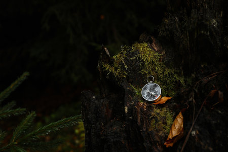 Compass on mossy tree bark outdoors, space for textの写真素材