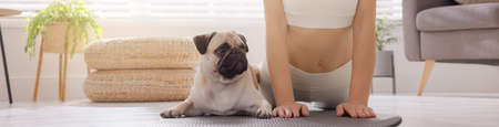 Woman with dog practicing yoga at home. Horizontal banner designの写真素材