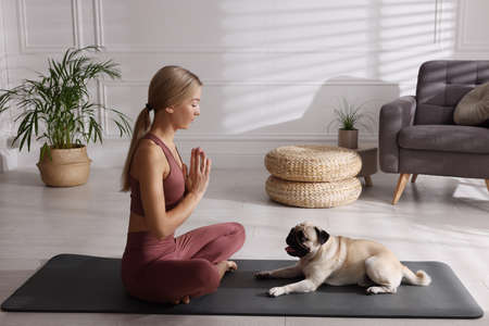 Beautiful woman with dog practicing yoga at homeの写真素材